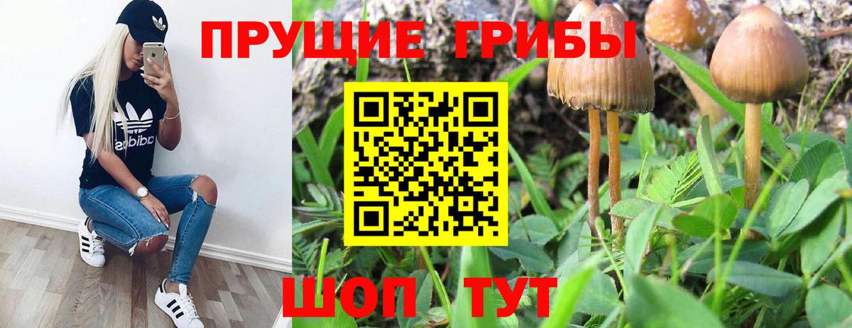 наркотики  Галлюциногенные грибы Psilocybe  Вход с VPN  Ростов-на-Дону  Псилоцибиновые грибы мицелий 